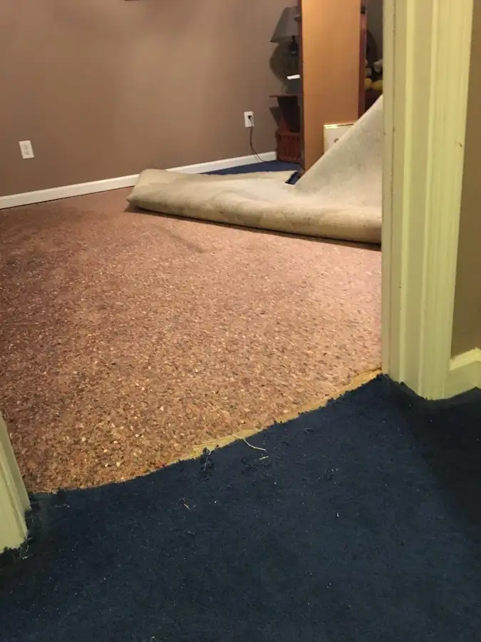 Carpet pad removal revealing water damage during Drying & Dehumidification in Wyldwood