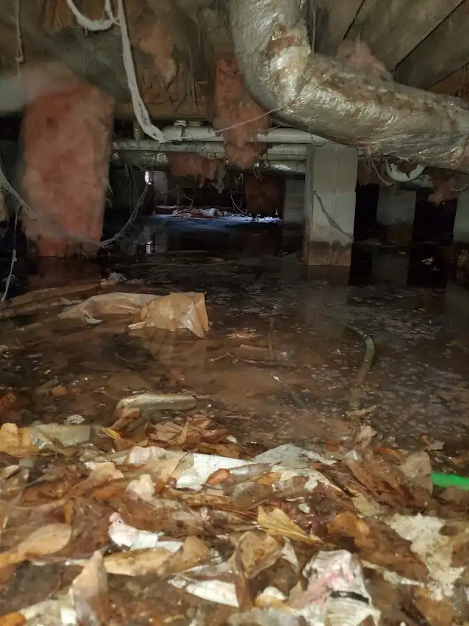 Crawl space flood assessment for Commercial Water Damage Restoration in Wyldwood