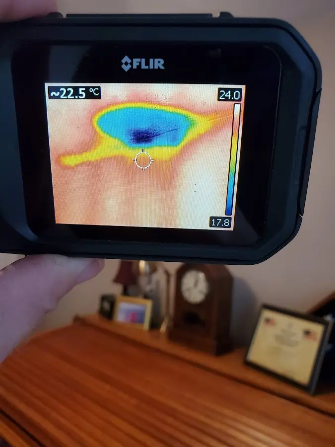 Thermal imaging inspection for water damage in Wyldwood
